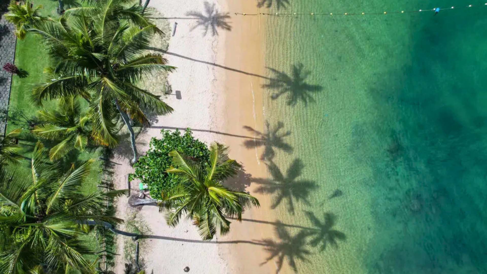 Traslados rio ilha grande